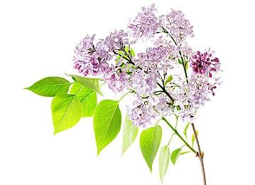 卡通写实风格自行车竞技模拟游戏《传奇小轮车》现已正式推出